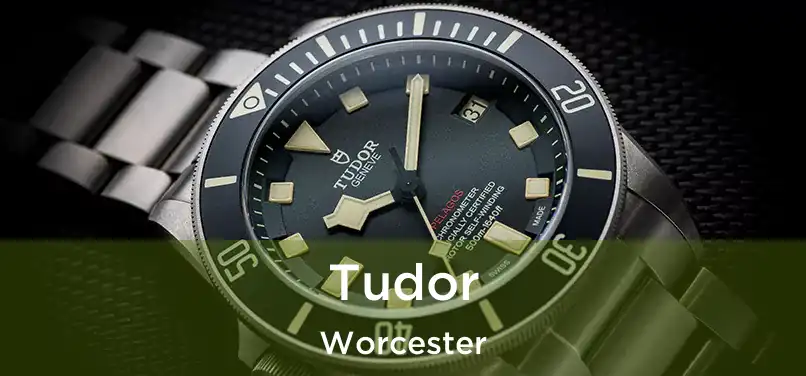 Tudor Worcester