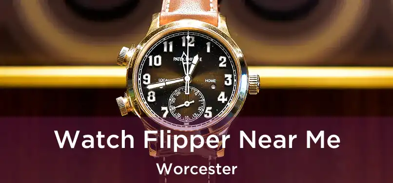 Watch Flipper Near Me Worcester